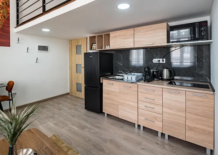 E51 Boutique Apartament